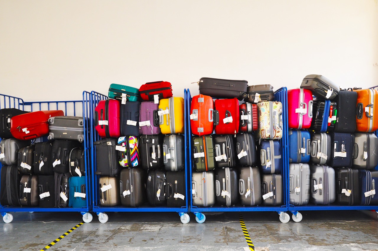 Onderzoek het Muildier Kinderrijmpjes Bagage vooruit opsturen met Worldwide Baggage Services